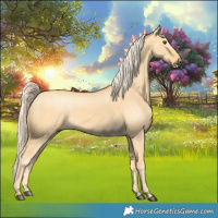 Horse Color:Palomino Dun 