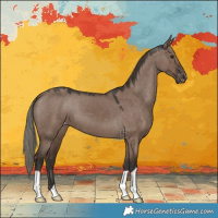 Horse Color:Liver Red Dun Mushroom Appaloosa