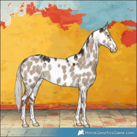 Horse Color:Liver Red Dun Mushroom Near Leopard 