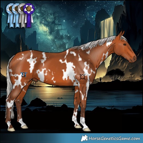 Horse Color:White Spotted Silver Bay 