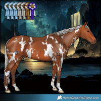 Horse Color:White Spotted Silver Bay 