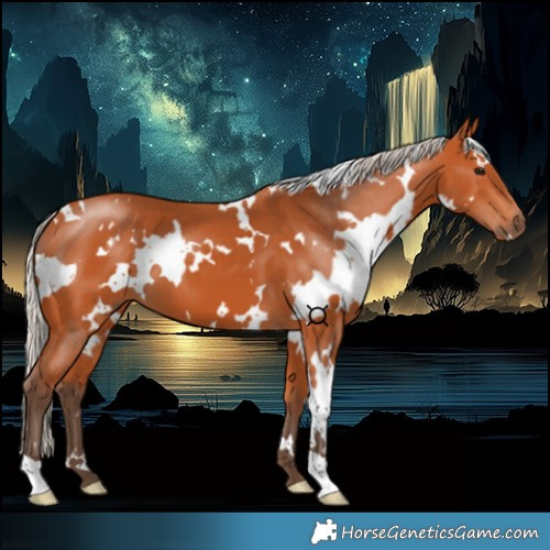 Horse Color:White Spotted Silver Bay 