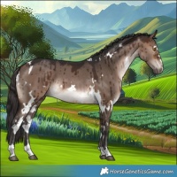 Horse Color:White Spotted Brown Dun Brindle 