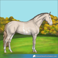 Horse Color:Smoky Creme Dun Sabino 