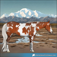 Horse Color:White Spotted Silver Bay
