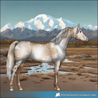 Horse Color:Gray White Spotted Chocolate Palomino Dun 