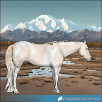 Horse Color:Perlino Tobiano