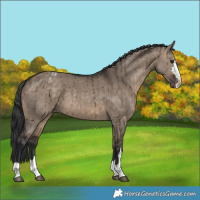 Horse Color:Brown Dun Varnish Brindle 