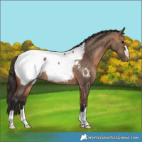 Horse Color:Bay Dun Near Fewspot Brindle 