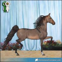 Horse Color:Bay Dun Mushroom 