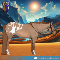 Horse Color:Red Dun Appaloosa Brindle 