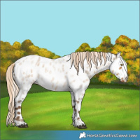 Horse Color:Chocolate Palomino Roan Dun Tobiano Near Leopard Rabicano 