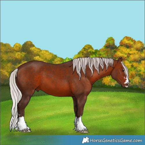 Horse Color:Silver Brown 