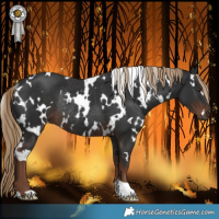 Horse Color:White Spotted Liver Chestnut Rabicano 