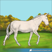 Horse Color:Cremello Tobiano
