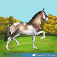 Horse Color:Brown Onyx Tobiano Rabicano