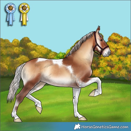 Horse Color:Silver Brown Onyx Tobiano Rabicano 