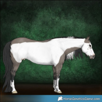 Horse Color:Grullo Frame 