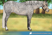 Horse Color:Silver Smoky Blue Roan Snowflake Varnish
