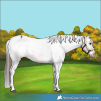 Horse Color:Brown Tobiano Varnish