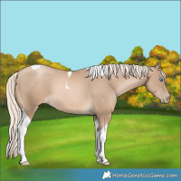 Horse Color:Chocolate Palomino Pearl Tobiano 