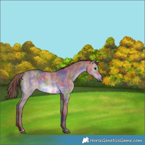 Horse Color:Platinum Nacre Chocolate Brown Dun 