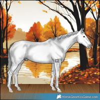 Horse Color:Gray Bay Ice Dun Splash 