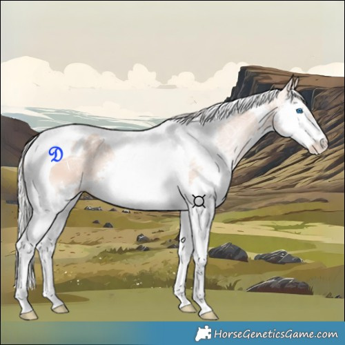 Horse Color:Silver Classic Champagne Ice Splash Tobiano