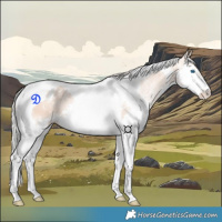Horse Color:Silver Classic Champagne Ice Splash Tobiano 