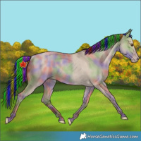 Horse Color:Painted Nacre Classic Champagne Dun Rabicano 