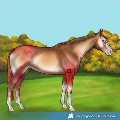 Horse Color:Gray Gold Champagne Onyx 