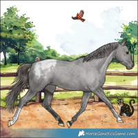 Horse Color:Grullo Varnish Brindle 