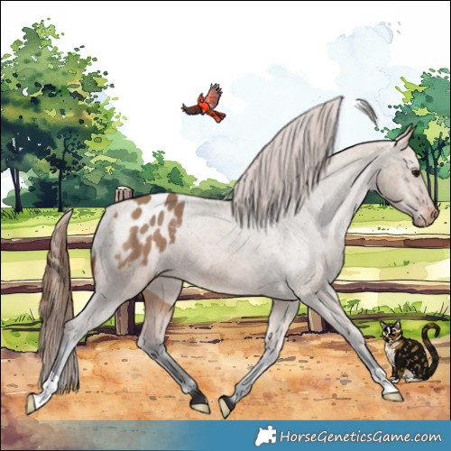 Horse Color:Bay Dun Varnish 