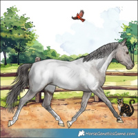 Horse Color:Liver Red Dun Snowcap Brindle 