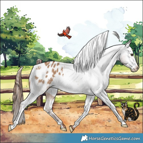 Horse Color:Red Dun Varnish 