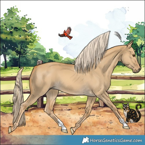 Horse Color:Palomino Dun 