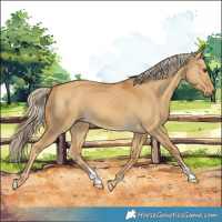 Horse Color:Palomino Dun 