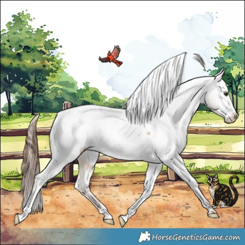 Horse Color:Red Dun Snowcap 