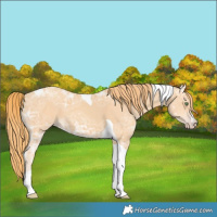 Horse Color:Gold Champagne Ice Tobiano 