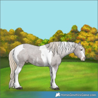 Horse Color:Liver Chestnut Sabino Splash Tobiano Varnish