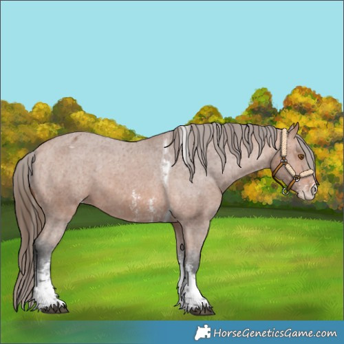 Horse Color:Bay Sabino Tobiano Varnish