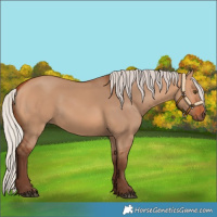 Horse Color:Silver Bay Dun Rabicano 