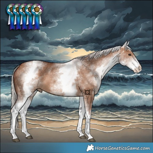 Horse Color:White Spotted Chocolate Silver Bay Dun 