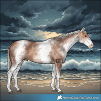 Horse Color:White Spotted Chocolate Silver Bay Dun 