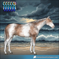 Horse Color:White Spotted Chocolate Silver Bay Dun