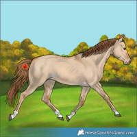 Horse Color:Red Dun 
