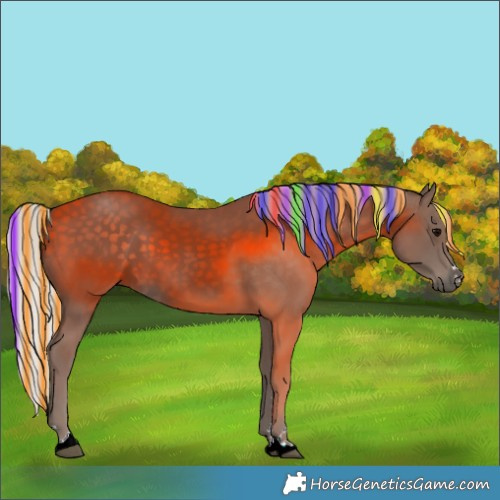 Horse Color:Painted Silver Black 