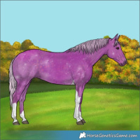 Horse Color:Watercolor Silver Black Tobiano 