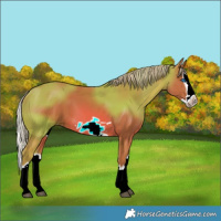 Horse Color:Watercolor Chestnut Splash Frame 