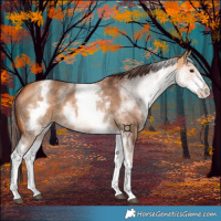 Horse Color:White Spotted Chocolate Bay Dun 